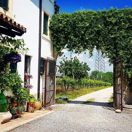 Corte Le Vigne Bed & Breakfast Verona Bagian luar foto
